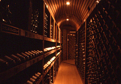 圧巻のワインセラー通路です! 03pjwine4.jpg