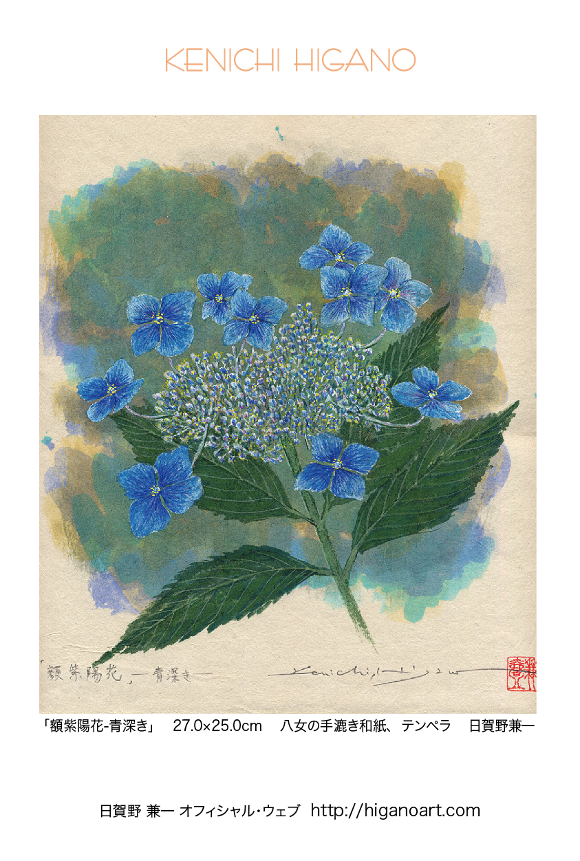 額紫陽花-青深き! 113card.jpg