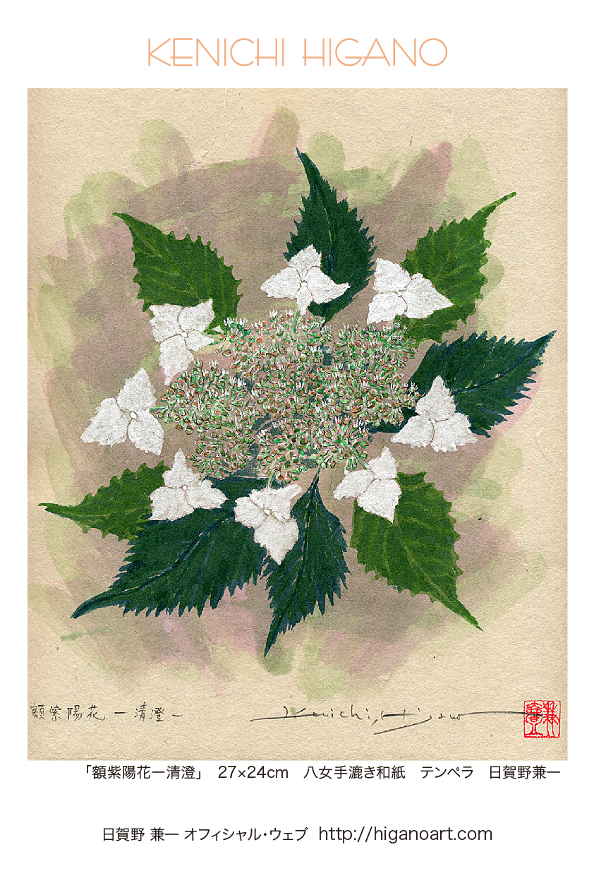 額紫陽花_清澄! 212card.jpg