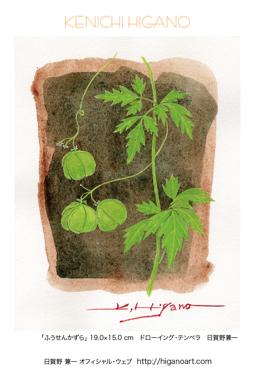 ふうせんかずら! fall_card07.jpg