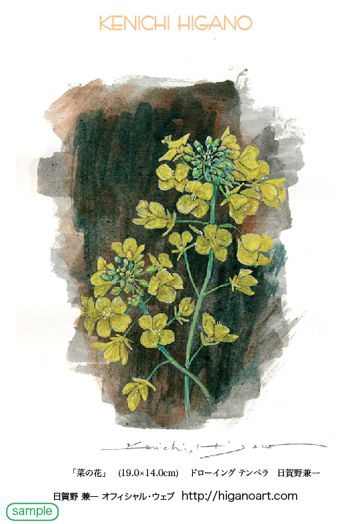 菜の花! 74card_sample.jpg
