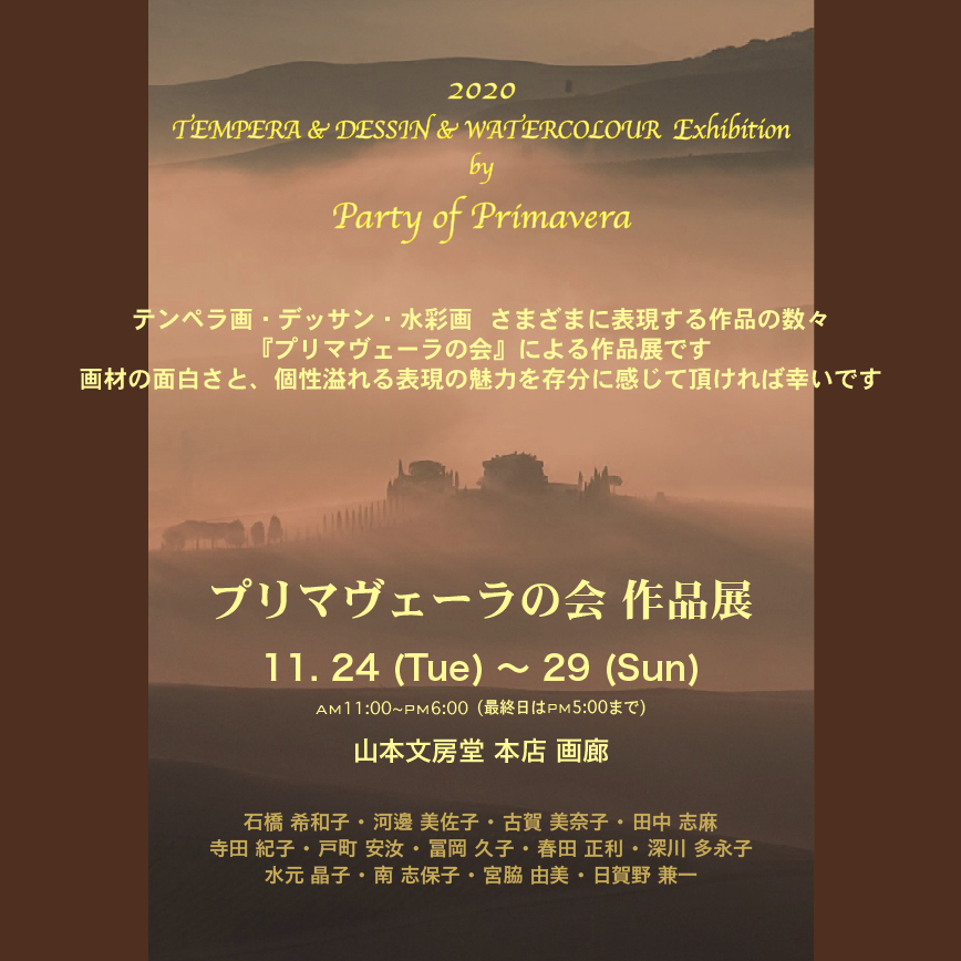 2020primaDM04.jpg